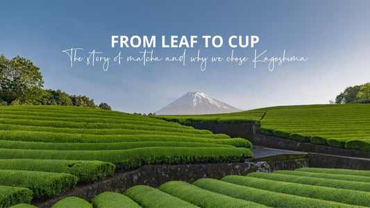 From Leaf to Cup