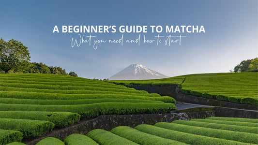 A Beginner's Guide to Matcha